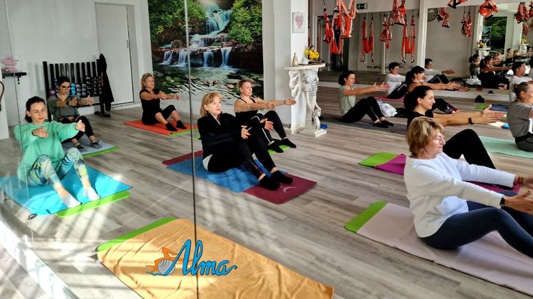 Alma: Centro Especializado en Pilates y Aeroyoga pilates 1